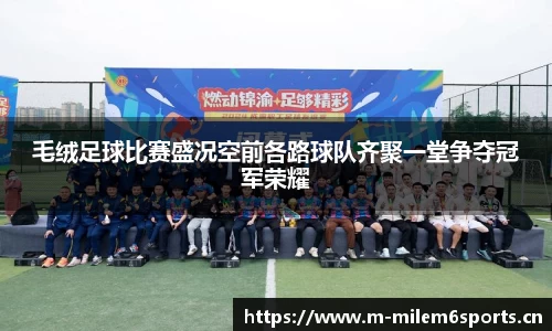 毛绒足球比赛盛况空前各路球队齐聚一堂争夺冠军荣耀